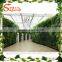 Hot sale Artificial green wall for decoration artificial plant wall