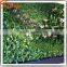Latest design plastic vertical garden green wall system