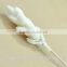 Bamboo Shoot Sola Flower Aroma Diffuser With Reed or Cotton Rope