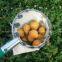 Fruit picker on telescopic handle
