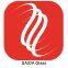 Saida Glass Co.,Ltd