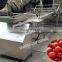 Blueberry sorting machine/cherry tomato sorter / fruit grader sizer