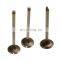 25182287 For 04-08 Chevrolet Aveo Aveo5 1.6L Engine Intake Valve 96440081 96376881 96896007   High Quality