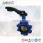CI Cast Iron 1 inch lug type butterfly valve