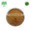 Factory supply in stock 100% Natural Rumex acetosa extract powder