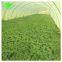 Wholesale Polyethylene Greenhouse Covering Film With High Quality