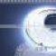 Hot Sale cheap SMD 5050 RGBW led strip light changin color with Remote Control