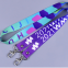Lanyard