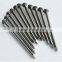 common nail 2.5 inch common nail iron nail factory