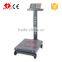 500kg 200g Hot Sale Parts of Stainless Steel Platform Balance Scale