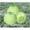 chinese wholesale sweet melon seeds f1