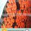 astm a53 gr.b erw pipe schedule 40