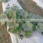 White/Black/Silver Thin Plastic Mulch Film