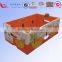 High quality custom fruit carton box/fruit storage box