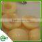 New Crop Canned White Peach Halves