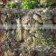 Hexagonal Wire Netting Gabion Box/Gabion Cage/Gabion Mesh With Low Prices