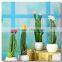 Indoor artificial Flowering Cactus Plants made in China