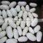 we are supplying Japanese white kidney beans with good quality FOR SALE