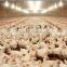 Commercial Broiler House Design and Found