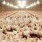 Commercial Broiler House Design and Found