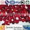 Cranberry Proanthocyanidins, Anthocyanidins cranberry, Natural cranberry extract