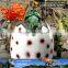 MY Dino-C058 Artificial dinosaur eggs for outdoor or indoor decoration