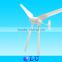 Complete corporate structure new type garden wind power