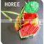 Chinese High Quality Bamboo Toothpicks For Sale