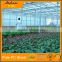 Agriculture Greenhouse Commercial Greenhouses Hobby Greenhouses uv coated polycarbonate panels