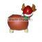 animal money box