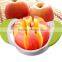 Stainless Steel Fruit Cutter Apple Slicer and Cutter/Apple Cutter/watermelon Slicer