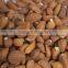 Roast garlic cloves/roast garlic dices/roast garlic puree