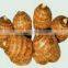 New Arrival China Fresh Taro Low Price High Quality