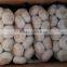 Hot sale 2016 fresh Chinese normal white garlic