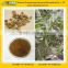 GMP Factory Supply High Quality Dendrobium Extract Powder