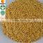 Hot Selling in Turkey Market High Purity,Clean,Neat Sweet pepper seeds,sweet chilli seeds, sweet paprika seeds from Factory
