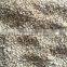 good quality natural white sesame seeds