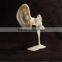 Hot selling Non-toxic reusable friendly shapelock plastic polymorph