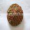 Pet food pellet machine,animal food pellet making machine from JInan eagle China 0086 18678800276