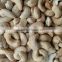 CCD sensor cashew nut color sorter machine