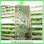 Professional Greenhouse Project commercial hydroponic systems