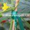 Fresh PVC Material Plastic Garden Tape