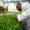 floral foam tray for plant growth&the application of foam in agriculture
