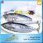 Hot Selling Without Faure Marin Bonito For Tuna Canning