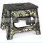 Beautiful Painting Living Room Folding Chair With Handle
