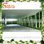 Hot sale Artificial green wall for decoration artificial plant wall