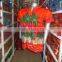 BRAZILIAN HAWAIIAN SHIRTS