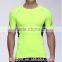 Wholesale gym clothing sports t shirt, top selling high quality fitness wear