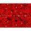 DIGITAL PRINT CHINESE SILK SCARF