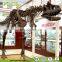 Factory Price high quality dinosaur fossils